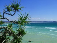 /album/photography/nesian-picture-7-copy-jpg/